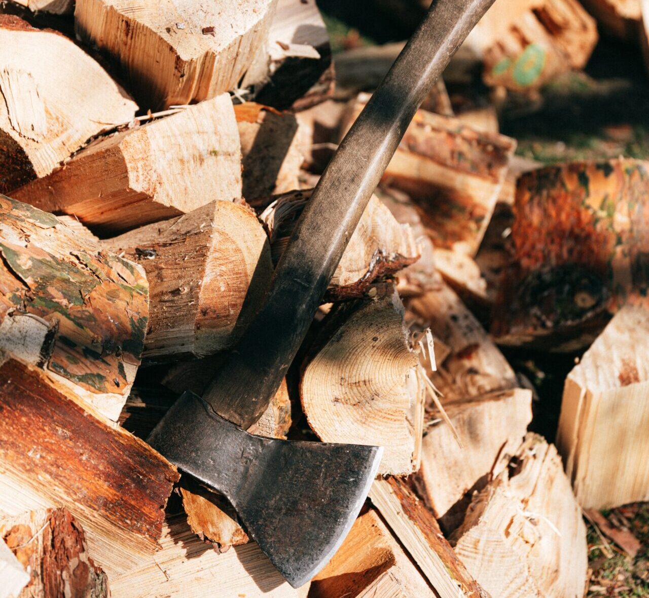 Ուսումնասիրություններ են իրականացվել «Հայանտառ» ՊՈԱԿ-ի «Վանաձորի անտառտնտեսությունում»