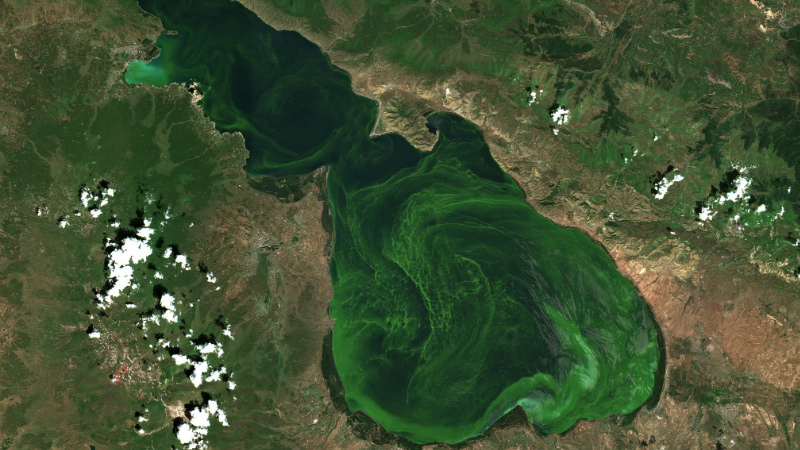 Գագիկ Երիցյանն ազատվել է Բնապահպանական ԾԻԳ-ի տնօրենի պաշտոնակատարի պաշտոնից