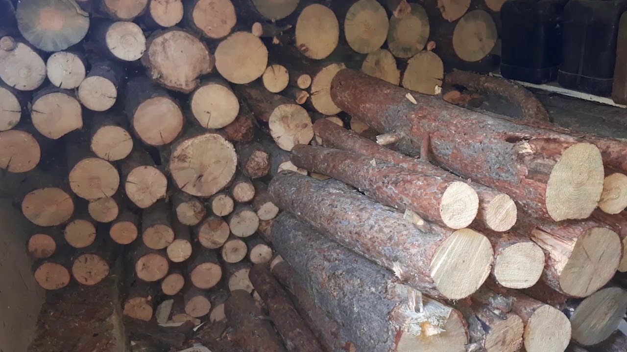 Բեռնատարը բարձված էր մոտ 25 խմ ապօրինի փայտանյութով