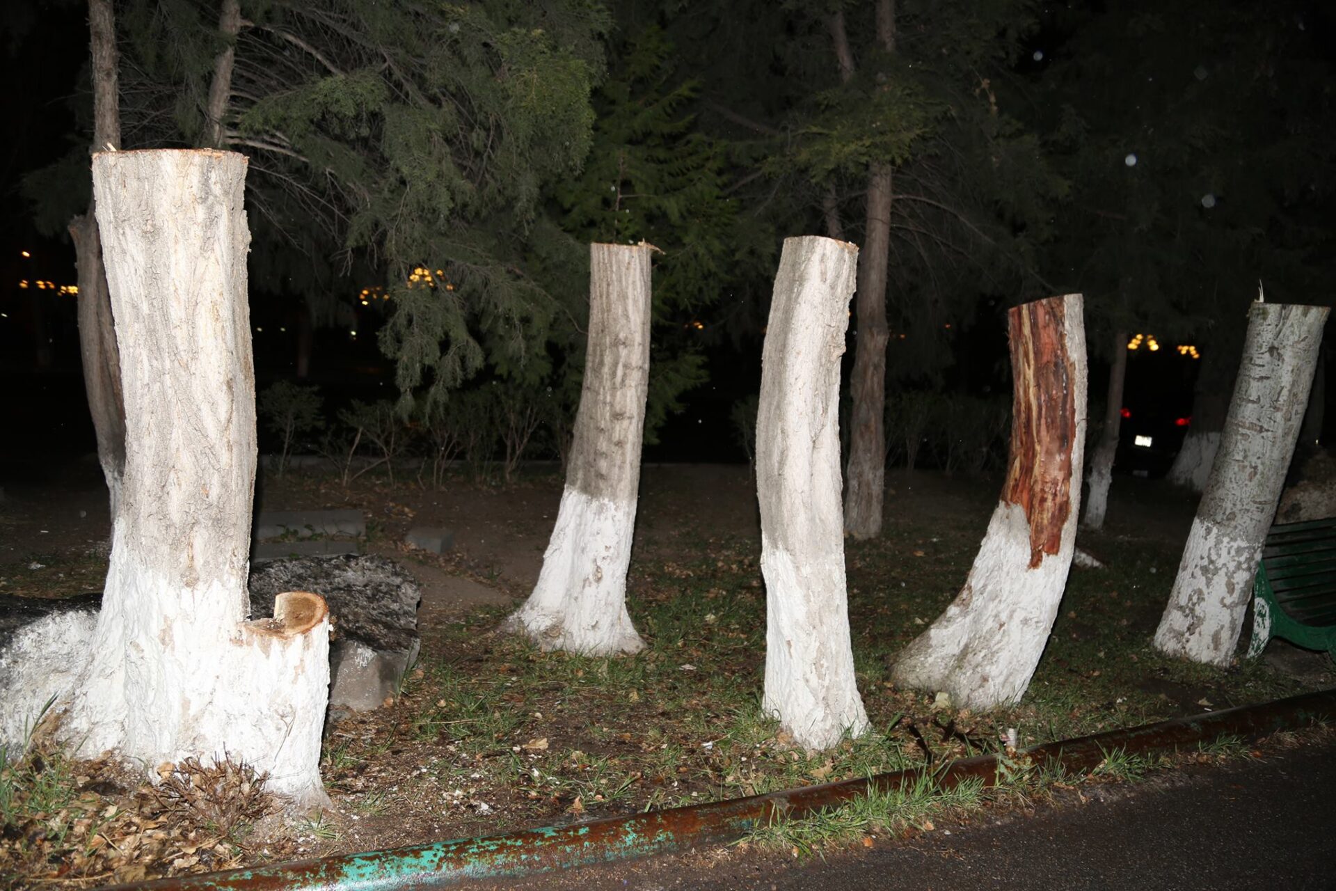 Ապօրինի ծառահատումները շարունակվում են