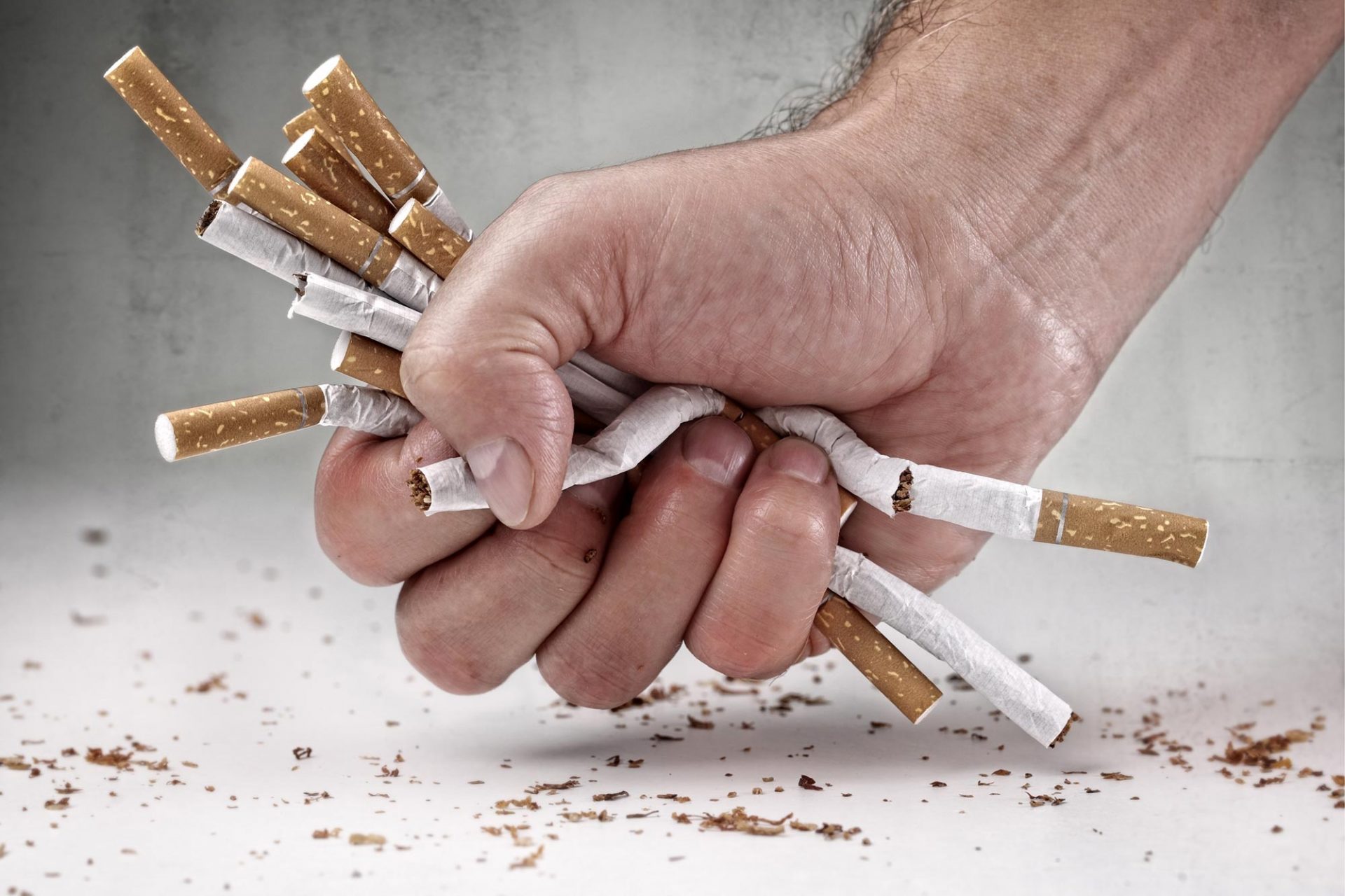 https://eco.am/%d5%b0%d5%a1%d5%b5%d5%a1%d5%bd%d5%bf%d5%a1%d5%b6%d5%b8%d6%82%d5%b4-%d5%b9%d5%a1%d6%83%d5%a1%d5%b0%d5%a1%d5%bd-%d5%a2%d5%b6%d5%a1%d5%af%d5%b9%d5%b8%d6%82%d5%a9%d5%b5%d5%a1%d5%b6-28-%d5%bf%d5%b8/