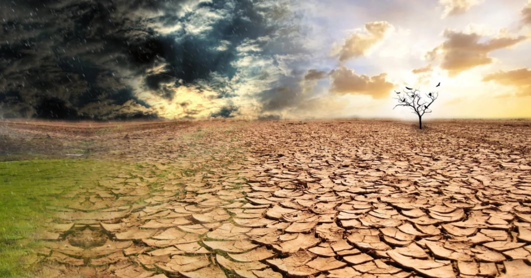 «Կանայք և հողերը, նրանց իրավունքները» կարգախոսով նշվեց Անապատացման և երաշտի դեմ պայքարի համաշխարհային օրը