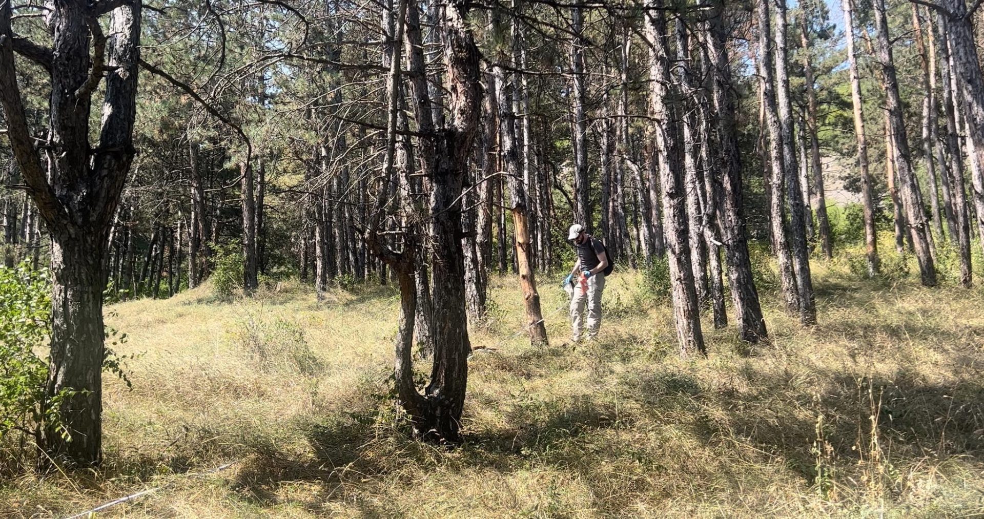 Նոր համագործակցություն բուսաբանության ինստիտուտի և ICAM-ի միջև