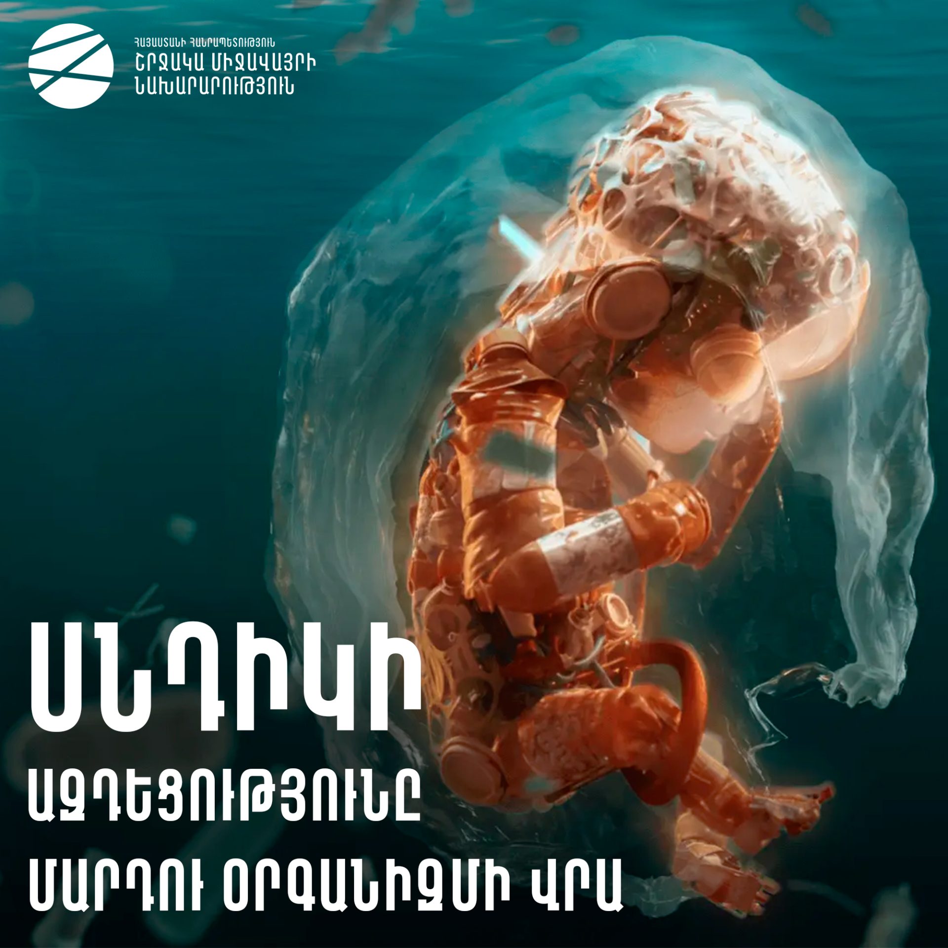 Սնդիկի ազդեցությունը՝ մարդու օրգանիզմի վրա