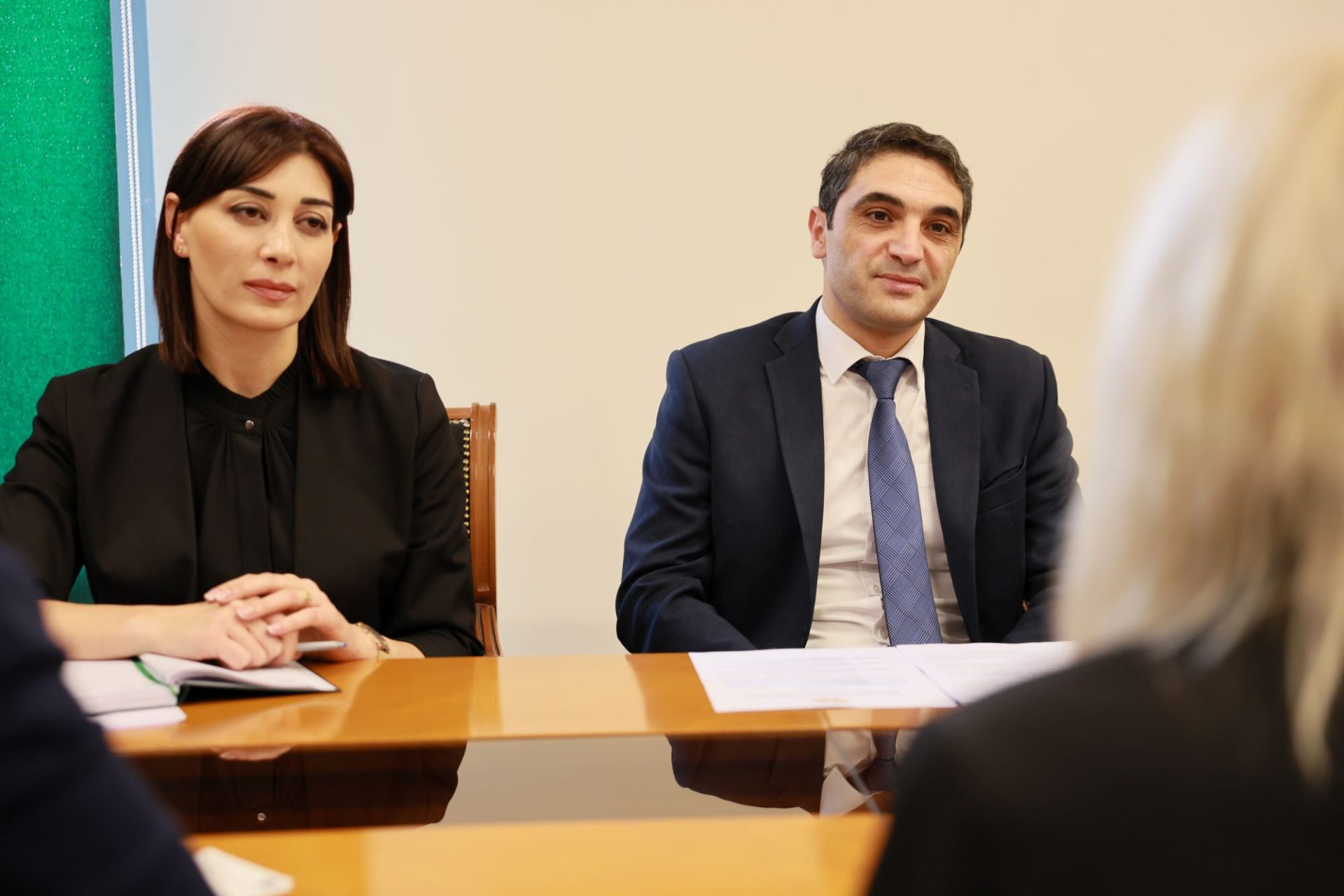 Կլիմայի կանխատեսվող փոփոխությունների հարմարվողականության համար երկրին անհրաժեշտ են կայուն ներդրումներ