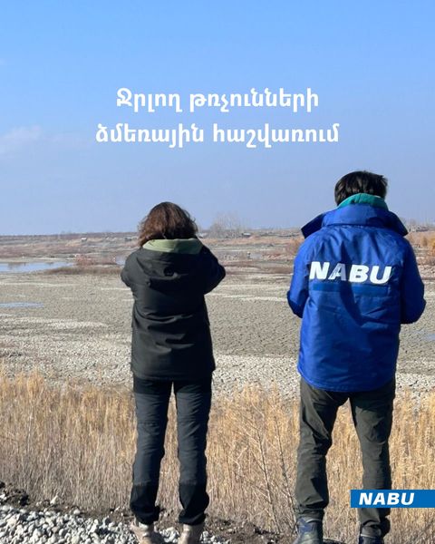 Մեկնարկել է ջրլող թռչունների ձմեռային հաշվառումը