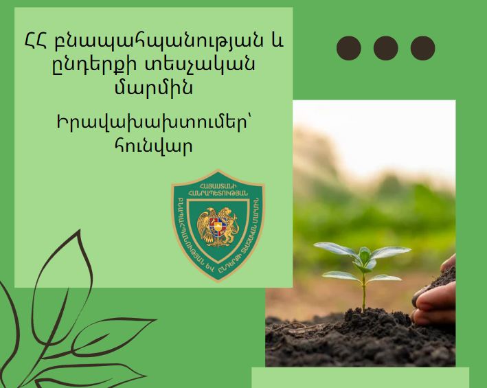 118 դեպքով վնաս է հասցվել ՀՀ շրջակա միջավայրին