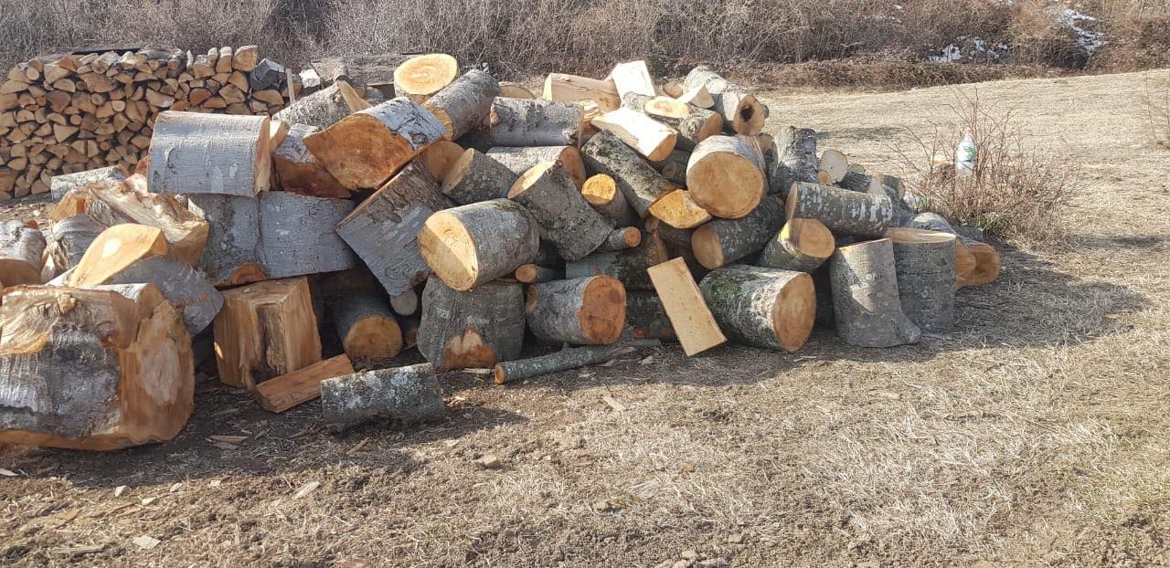 Էկոպարեկային ծառայությունն անտառհատման հերթական ապօրինի դեպքն է բացահայտել